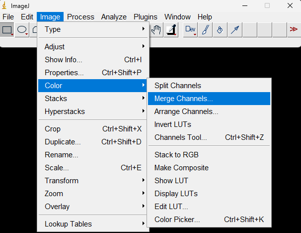 imageJ color merge channels