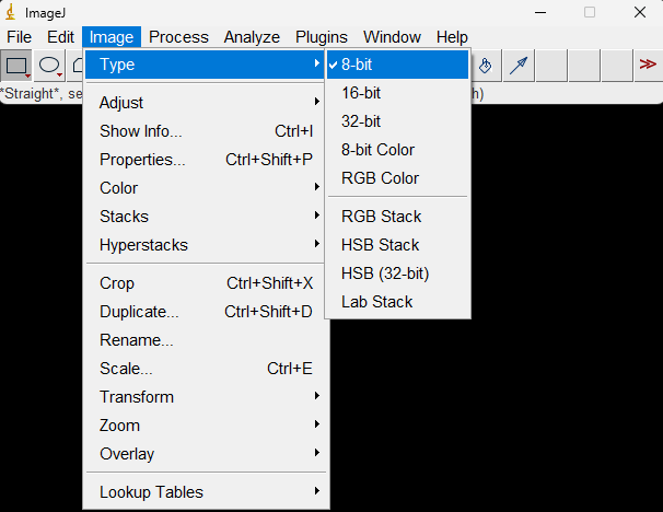 change imageJ type to 8-bit
